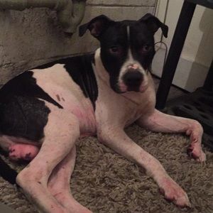 Meet your Posher, Keith